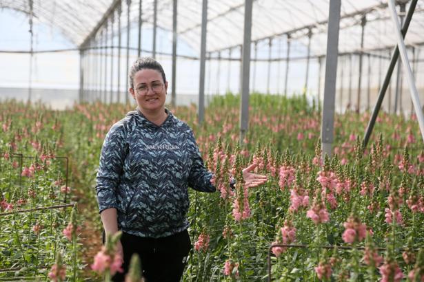 Antalya'dan Avrupa'ya yeni çiçek: Aslanağzı