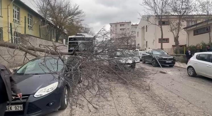 Hastane bahçesinde kesilen ağaç yoldan geçenlerin üzerine devrildi: 3 yaralı