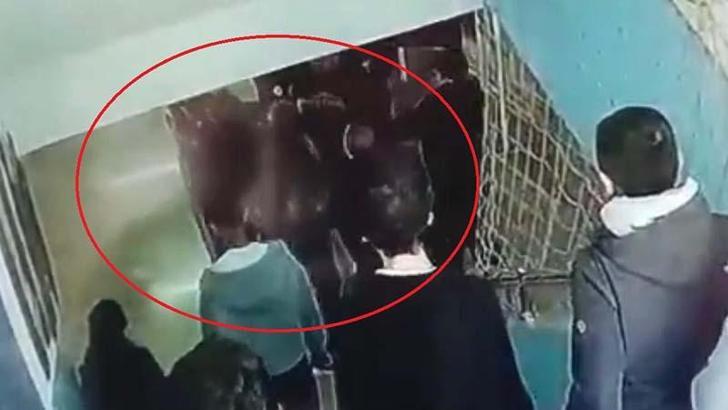 Öğretmene okulda darp iddiasına soruşturma