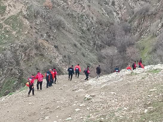 Kaybolan 4 yaşındaki Rabi, 250 kişilik ekiple aranıyor