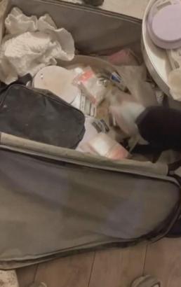 İstanbul - Esenyurt'ta uyuşturucu ve silah operasyonunda el bombası bulundu; 2 şüpheli tutuklandı