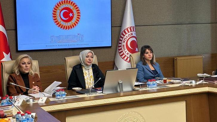 Kamu Denetçisi Benli: Cinayete maruz kalan kadınların yüzde 88'inin koruma kararı yok