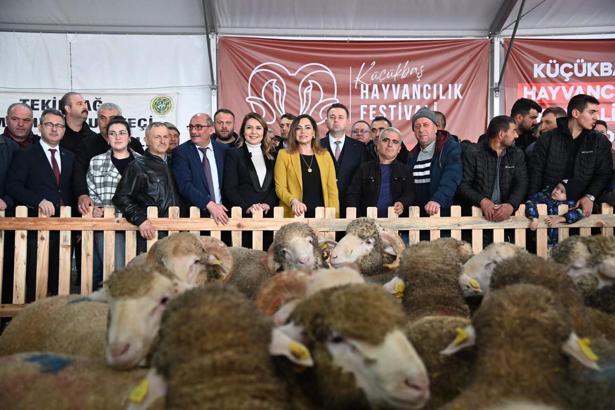 Tekirdağ'da 'Küçükbaş Hayvancılık Festivali' başladı