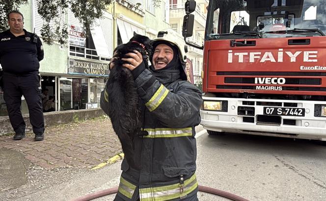 Kalp masajıyla kediyi yaşama bağlayan itfaiye erinin mutluluğu