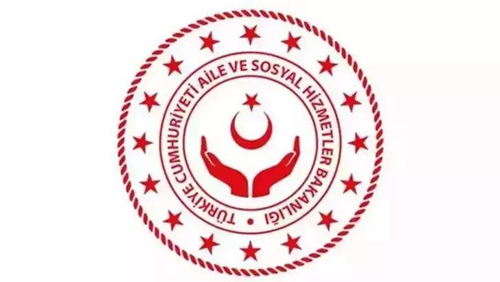 Aile ve Sosyal Hizmetler Bakanlığı'ndan darbedilen anneye destek
