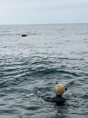 MSB: İğneada açıklarında tespit edilen mayın imha edildi