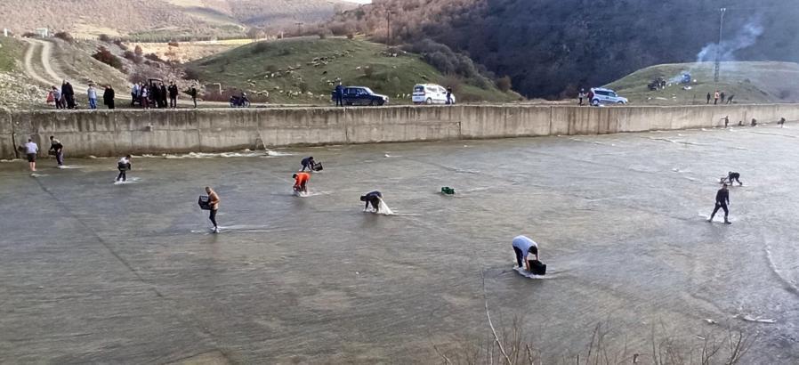 Taşan barajdan çuval ve kasayla balık yakaladılar