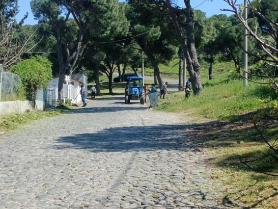 Atatürk'ün Ayvalık'ta yürüdüğü yollar 13 Nisan için hazırlandı