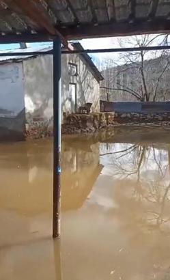 Derenin taştığı köyde ev ve ahırları su bastı