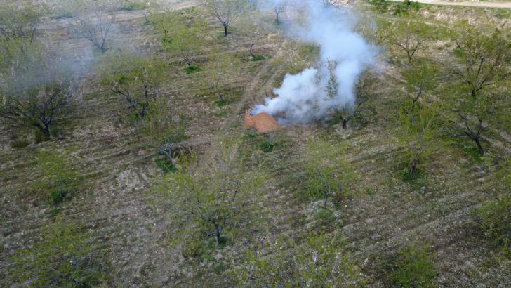Manisa’da üreticilerden ‘zirai don' nöbeti; badem ağaçlarına dumanlı koruma
