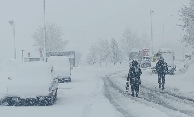Bitlis'te 84 yerleşim yeri, ulaşıma kapandı