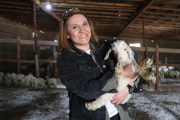 Devlet desteğiyle kurduğu çiftlikte 6 yılda 1300 Ankara keçisine ulaştı