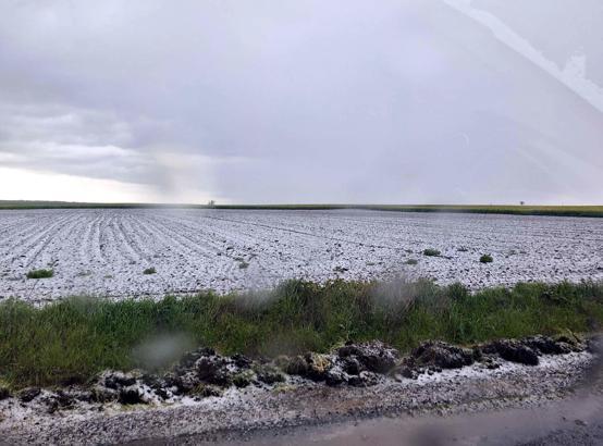 Saray'da dolu etkili oldu