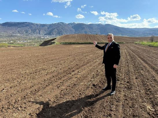 Akıncılar'da belediye boş arazilere nohut ekti