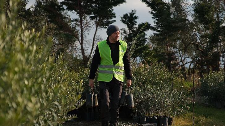 'Ağaç Adam'ın hedefi 1 milyon zeytin fidanı