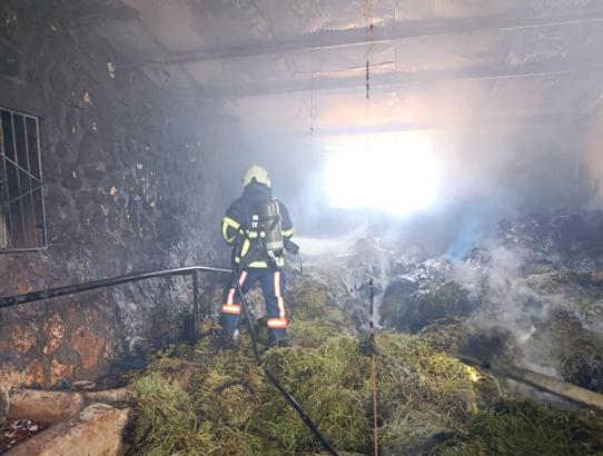 Mardin’de hayvan çiftliğinde yangın