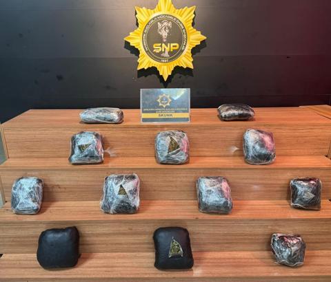 Şanlıurfa'da 8 kilo skunk ele geçirildi