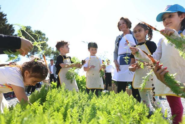 Didim'de minikler önce marul dikti, sonra hasat etti