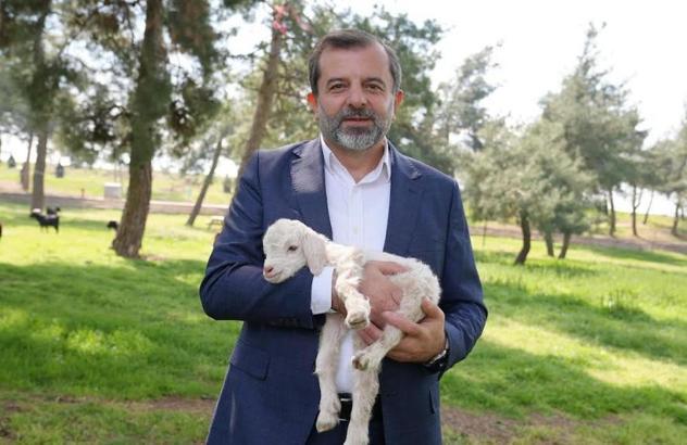 Gürsu Butik Hayvanat Bahçesi yeni sakinlerini ağırlıyor