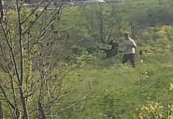 Avcılar'da köpeğe kemerle vuran kişi kamerada