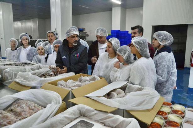 Yeni nesil balıkçı çocuklar, su dünyasını tanıdı
