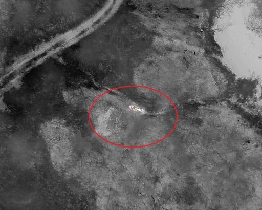 Kaybolan gebe inek, doğum yapmış halde AFAD ekiplerince bulundu