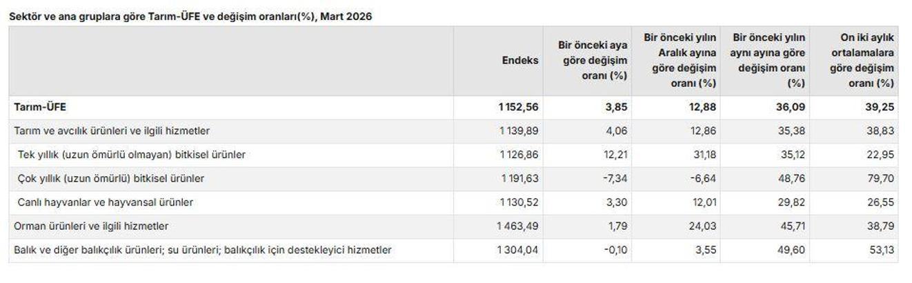 TÜİK: Tarım üretici fiyatları martta arttı