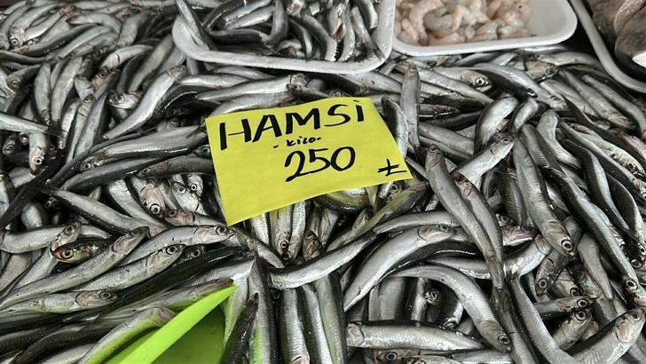 'Balıkta hızlı avcılık pek çok sıkıntıyı beraberinde getirdi'