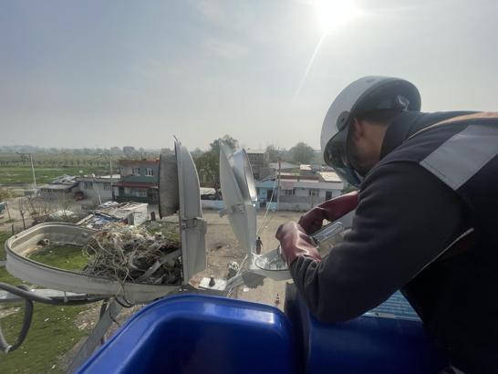 Kuşların yuva yaptığı sokak lambasındaki enerji iptal edilip yeni armatür takıldı