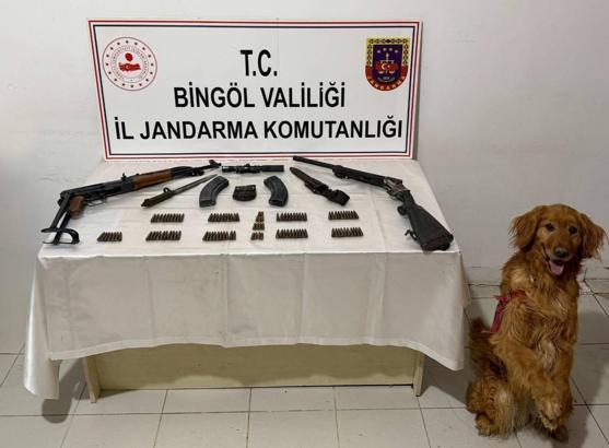 Bingöl'de silah ve mühimmat ele geçirildi