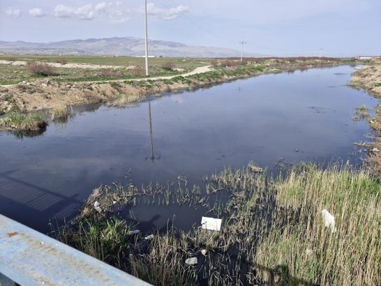 Eber Gölü projesi AB'den onay alamadı