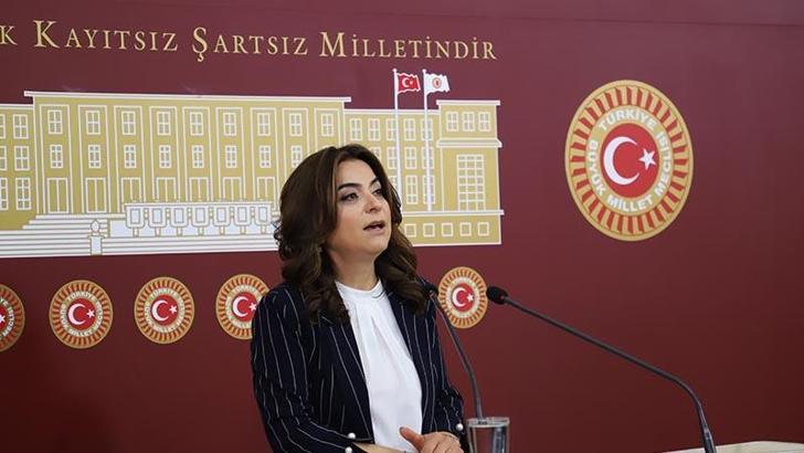 DEM Parti'li Koçyiğit: Sürecin geciktirilmesini doğru bulmuyoruz