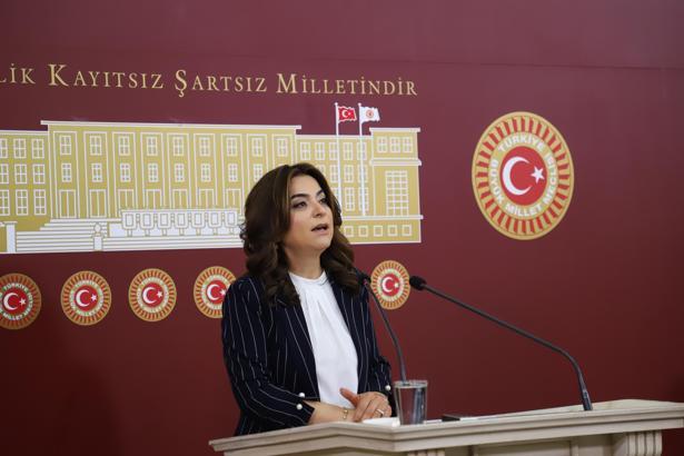 DEM Parti'li Koçyiğit: Sürecin geciktirilmesini doğru bulmuyoruz