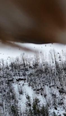 Kartal, dronu kaptı