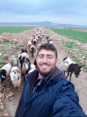 Mardin’de silahlı saldırıya uğrayan çoban öldü