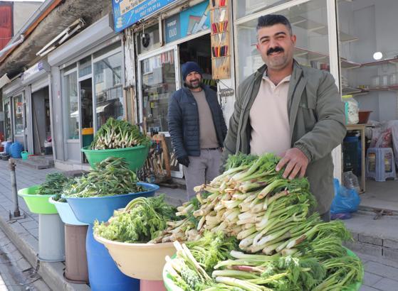 Dağlarda yetişen pancarın ilk mahsulü, satışa sunuldu