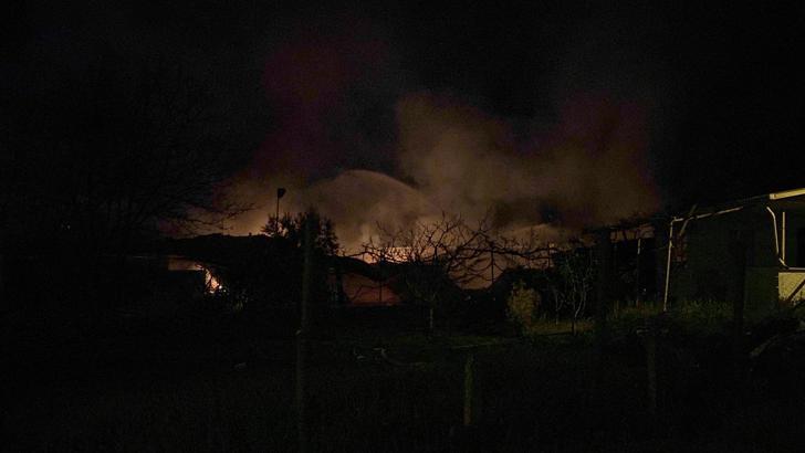 Samsun’da paletlerin olduğu meyve deposunda yangın