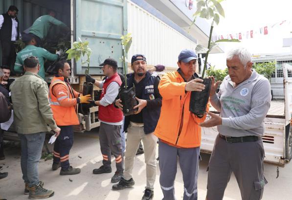Anamur’da üreticiye avokado fidanı ve bitki besleme ürünü dağıtıldı