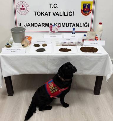 Tokat'ta uyuşturucu operasyonu 7 gözaltı