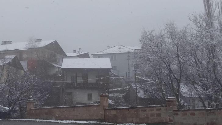 Posof'ta kar yağışı etkili oldu