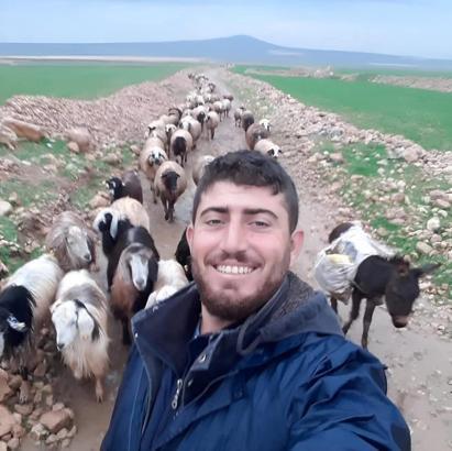 Mardin'de çobanın öldürüldüğü silahlı saldırıya ilişkin 5 tutuklama