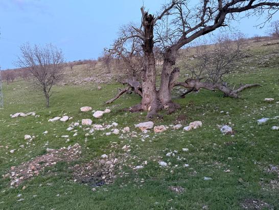 Gizli tanığın ifadesi sonrası Gülistan Doku, 18 noktada 40 kilometrelik alanda arandı