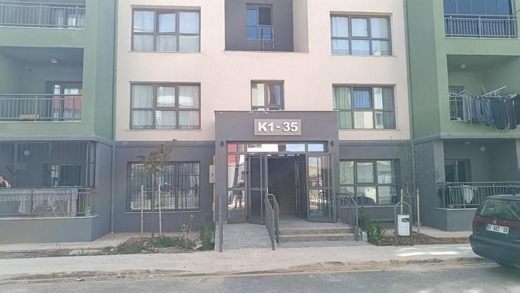 Adıyaman'da parçalanmış halde yavru kedi bulundu