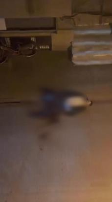 Zeytinburnu'nda sokak ortasında silahla vurulan kişi ağır yaralandı