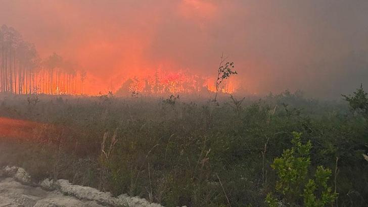 ABD’de orman yangınlarında 120’den fazla ev yandı