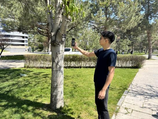 Kayseri'de ağaçlar hakkında bilgilendirici karekod uygulaması