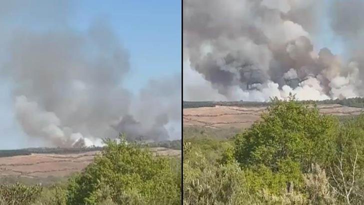 Beykoz'da ormanlık alanda çıkan yangın söndürüldü