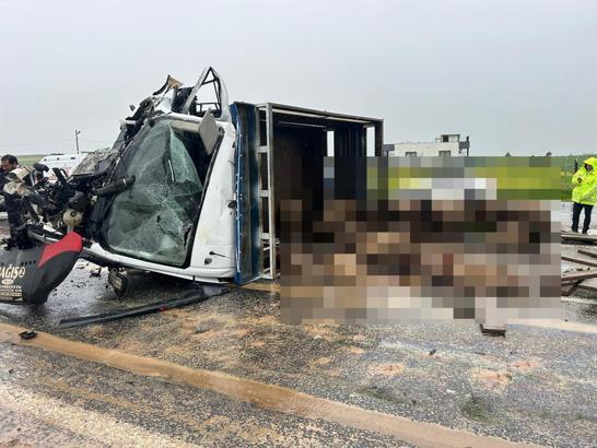 Siirt’te koyun yüklü kamyonet ile otomobil çarpıştı: 2 ölü, 3 yaralı