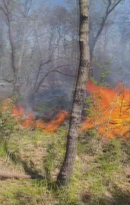 Çatalca'da ormanlık alanda çıkan yangın söndürüldü
