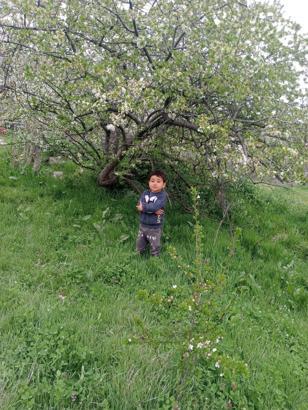 Kamyonet çarpması sonucu ölen Yakup Can'ın dedesi: Babaannesine koşuyordu